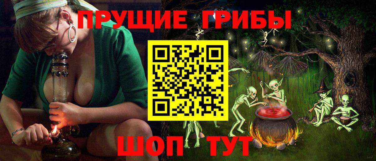 Псилоцибиновые грибы GOLDEN TEACHER  Вход с VPN  Галлюциногенные грибы Psilocybe  Шарыпово 